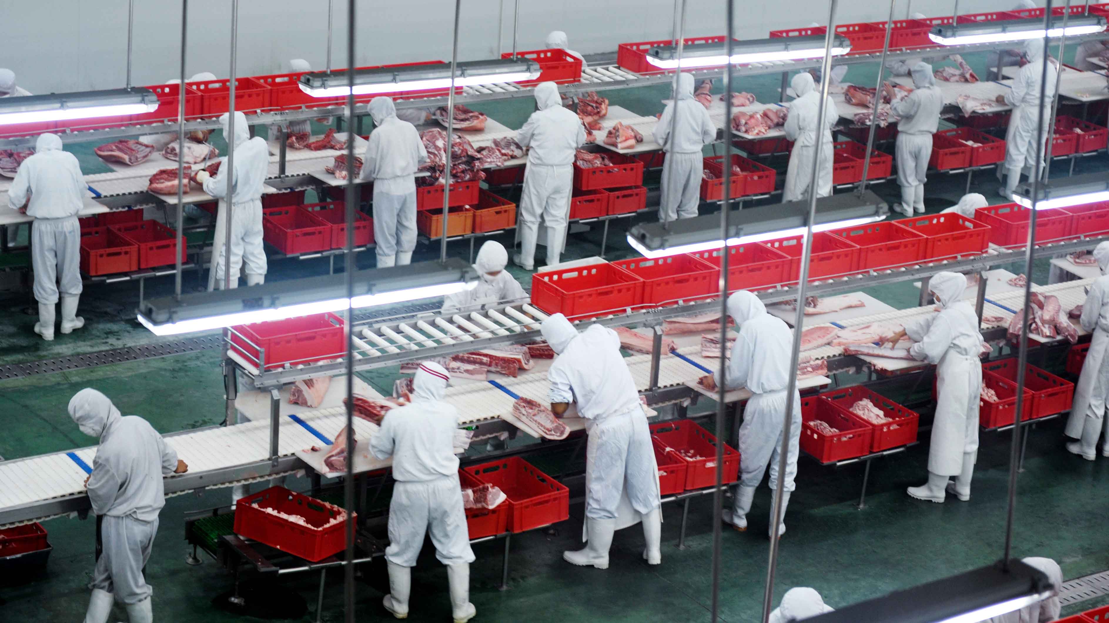 Workers in protective clothing at a meat processing line