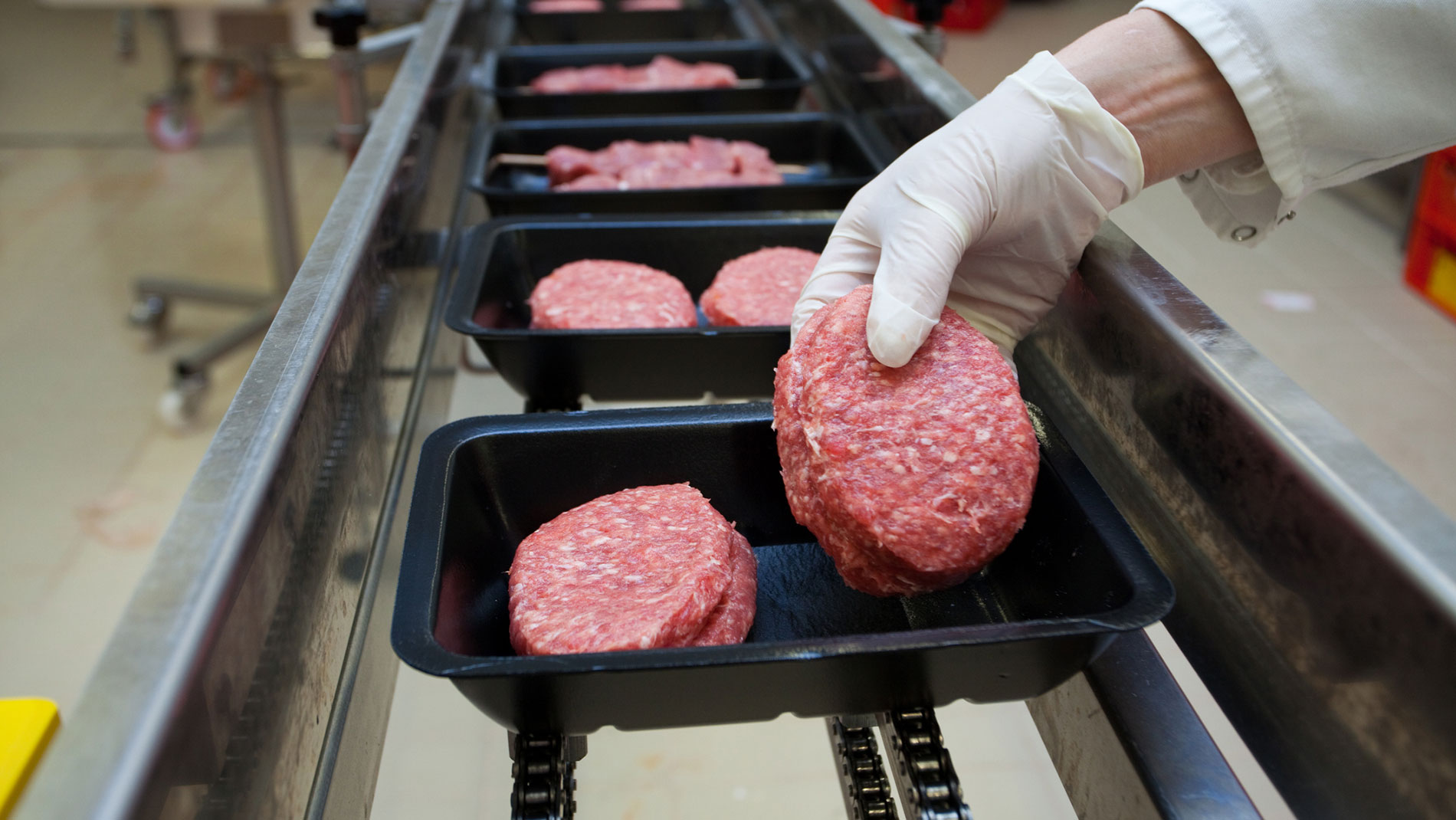 Mitarbeiter legt Fleischpatties in schwarze Tiefziehschalen auf einer Produktionslinie