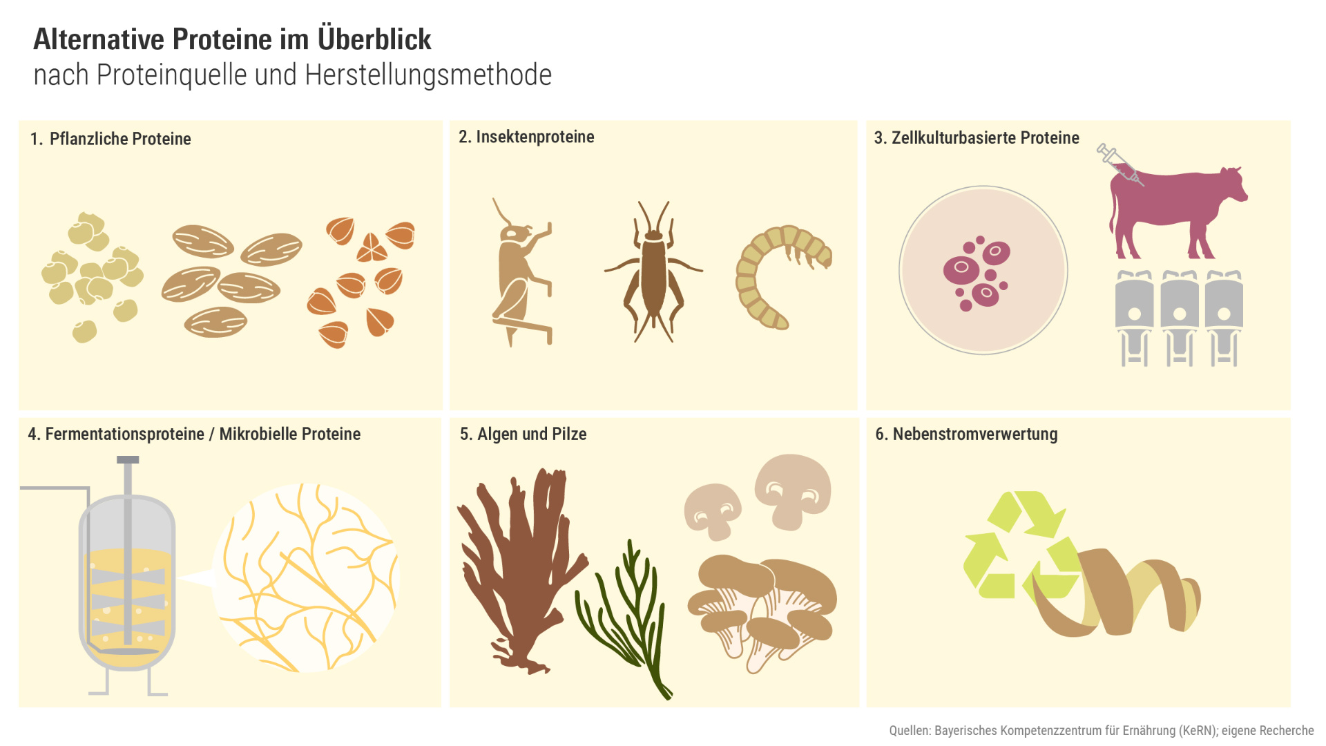 Grafik: Alternative Proteine im Überblick