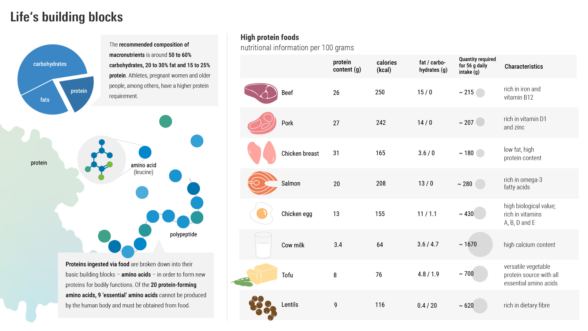 Graphic: Building blocks of life