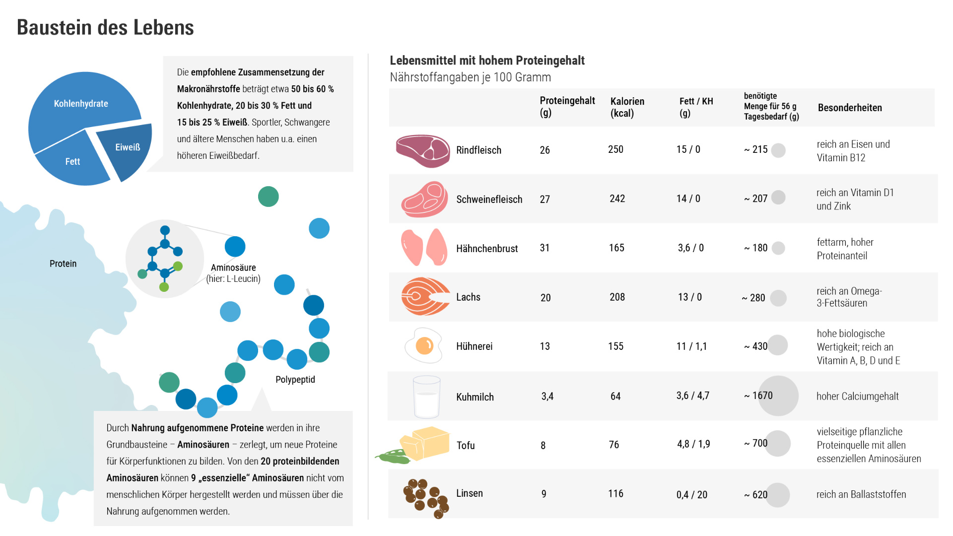 Grafik: Bausteine des Lebens