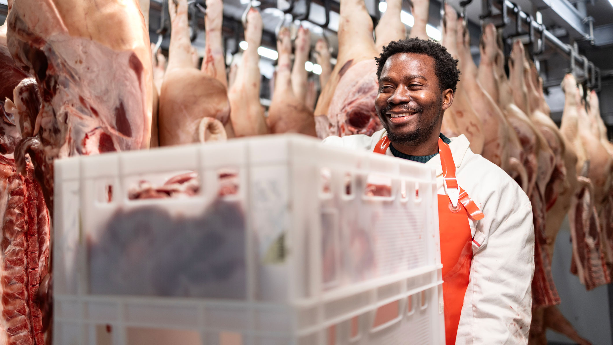 Worker in meat processing transporting meat in a cold storage facility