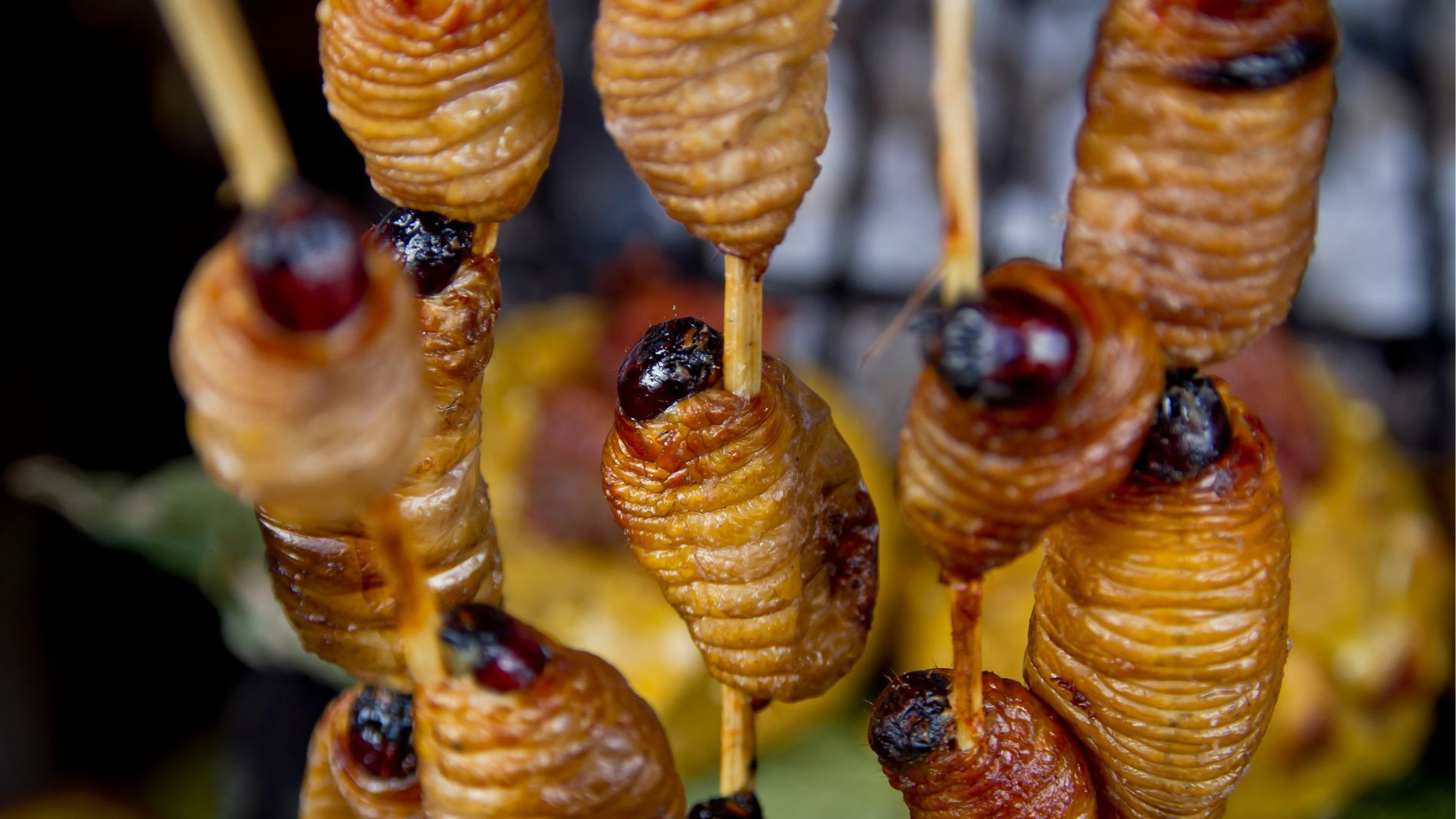 Gegrillte Suri-Larven