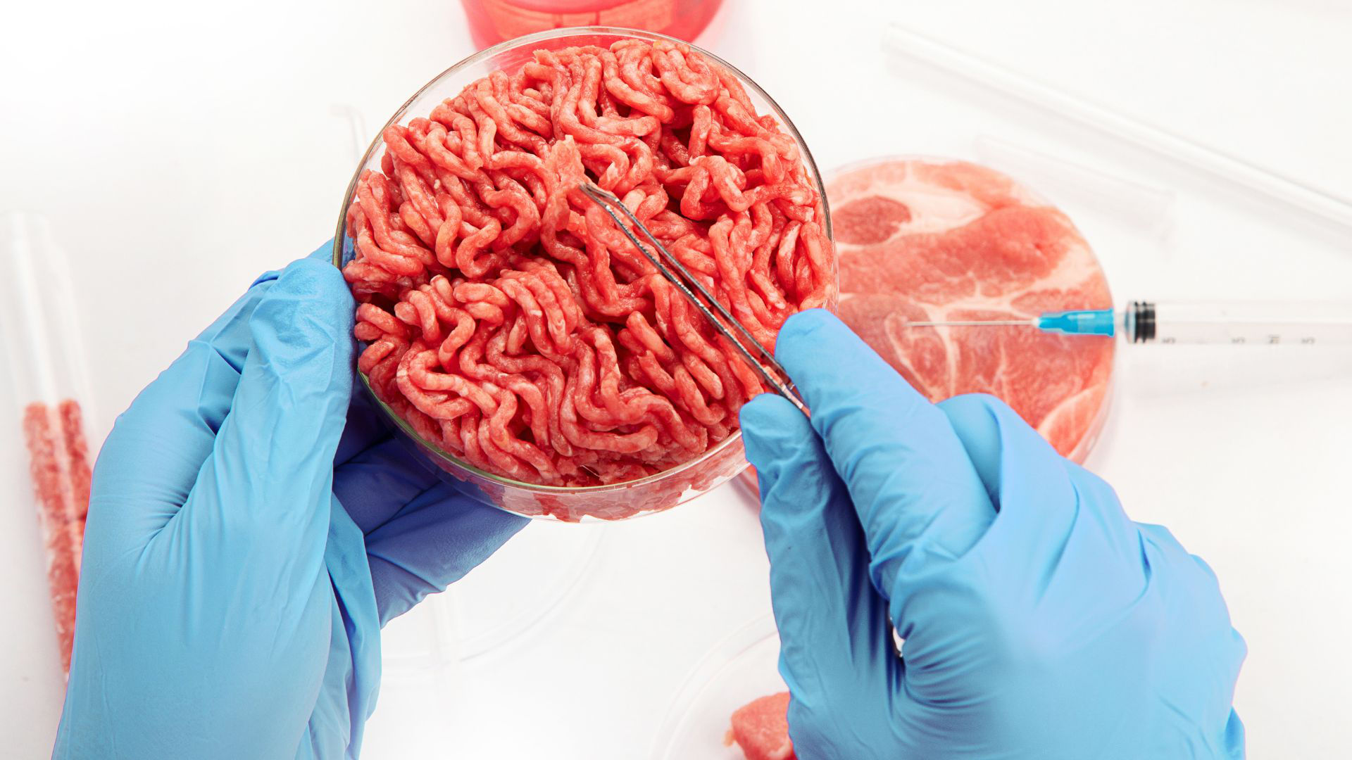 Kultiviertes Fleisch in einer Petrischale