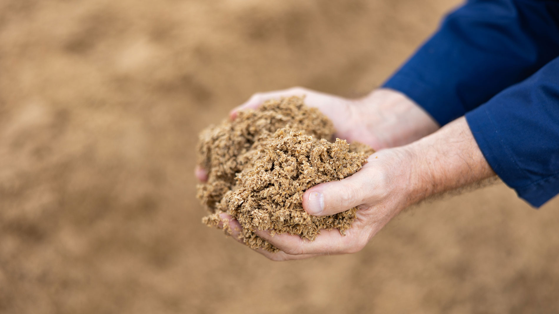 Dried brewers’ grains as sustainable raw material