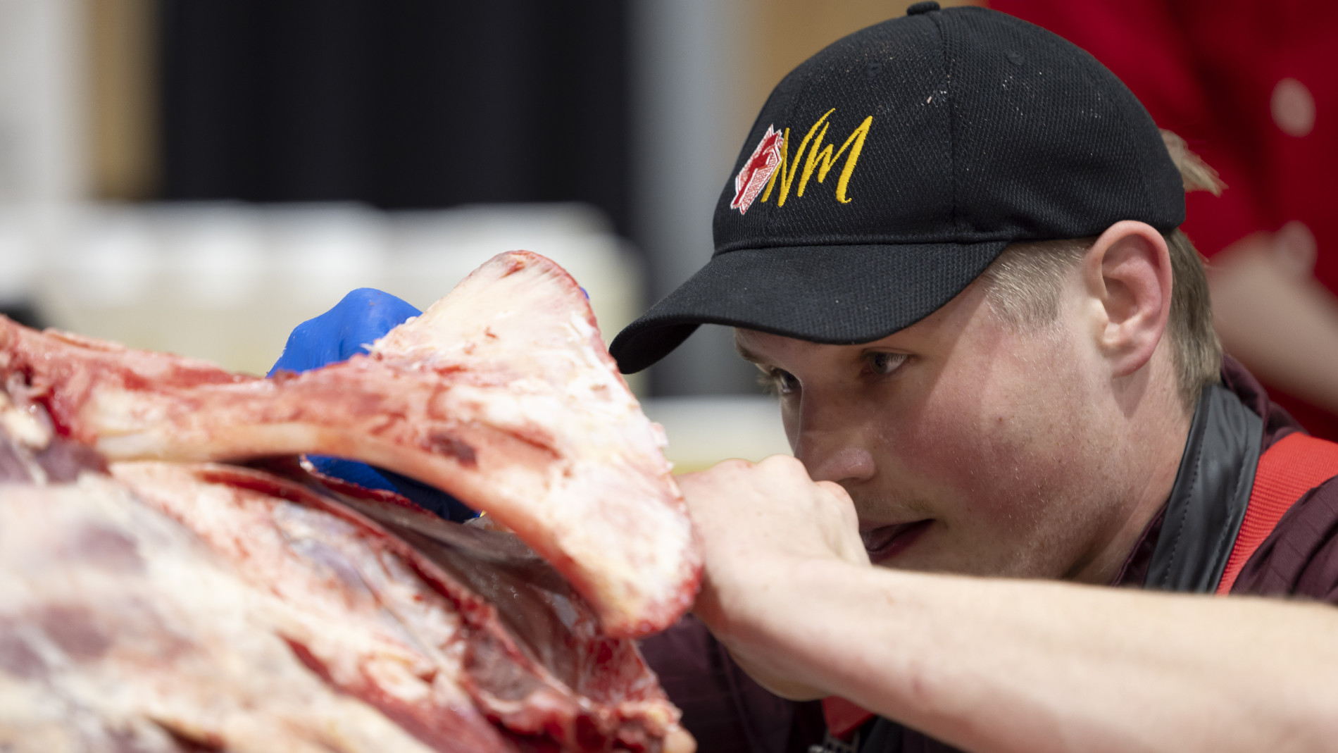 Butcher processing meat artisanal food production