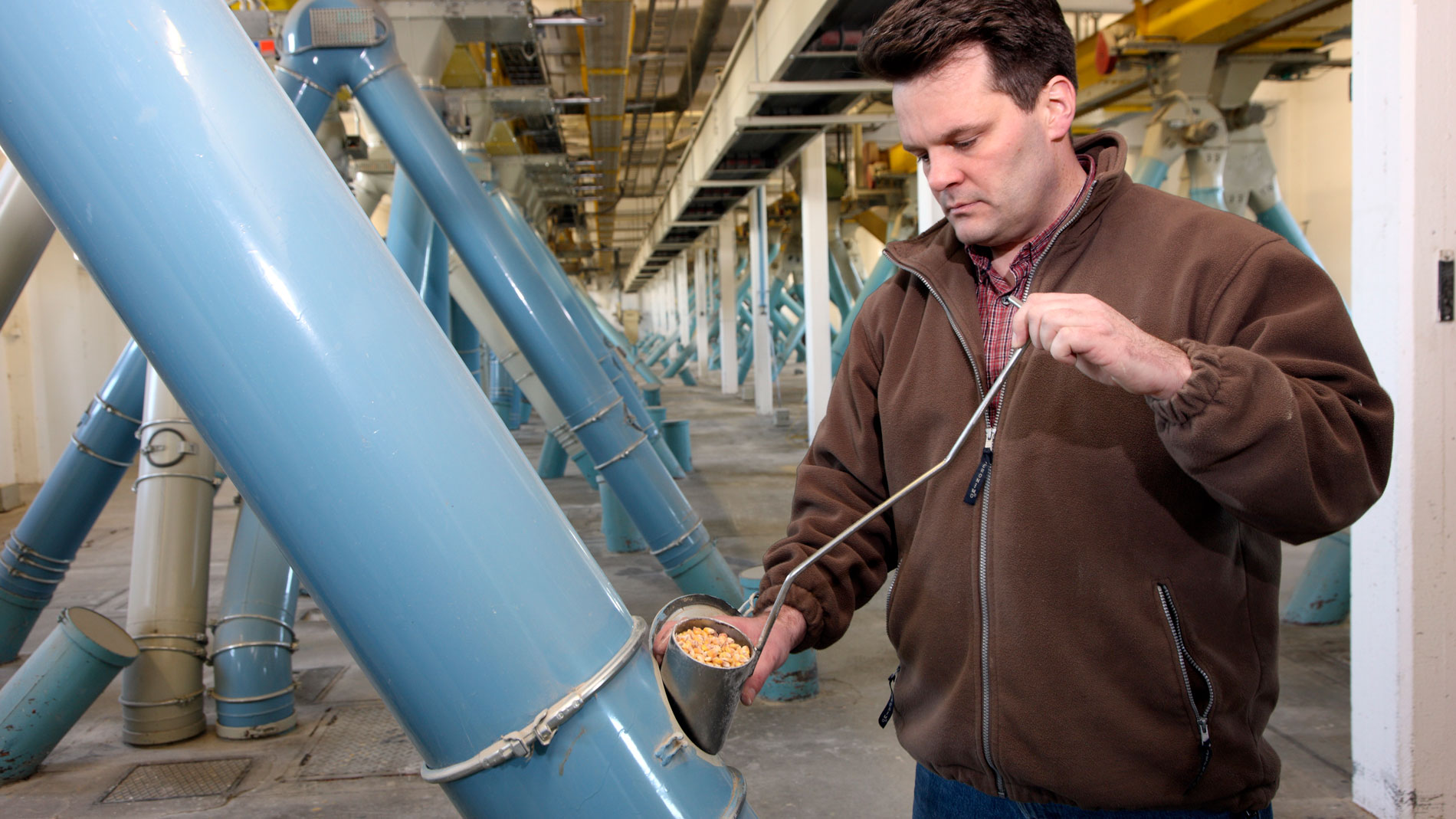 Man taking grain sample from pipe in facility