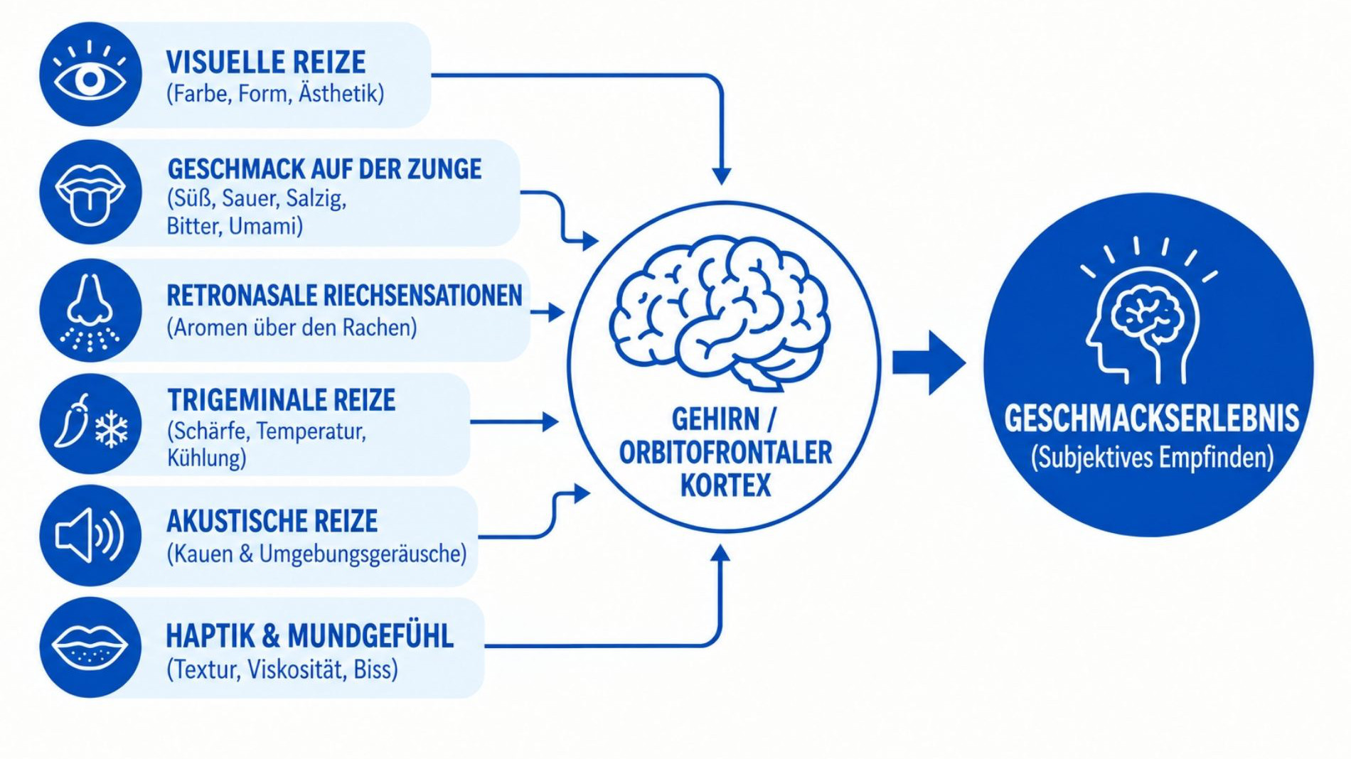 Grafik zur Entstehung des Geschmackserlebnisses