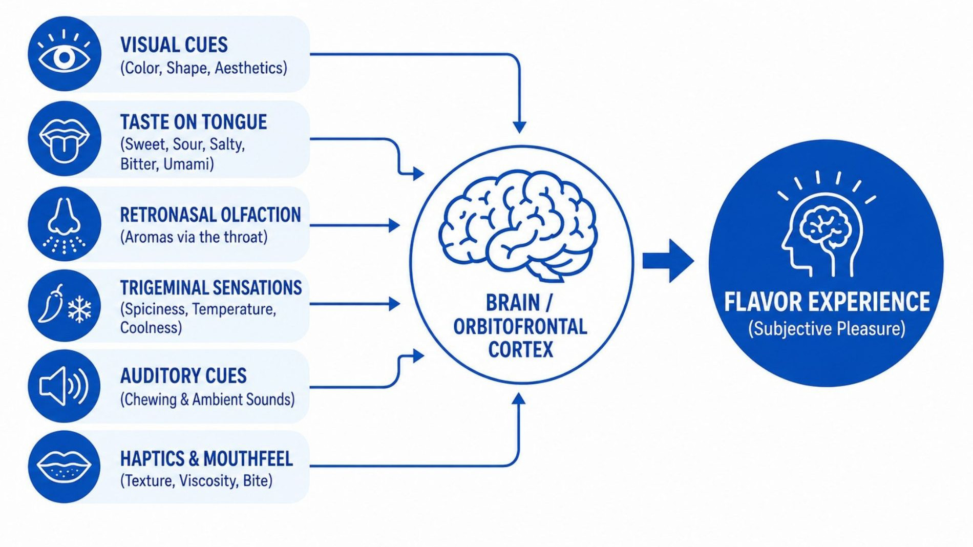 Diagram illustrating how the taste experience is formed