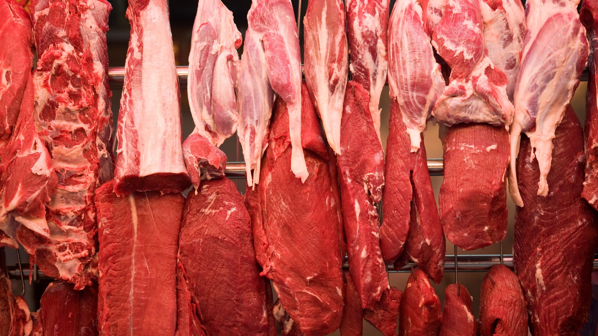 Raw meat hanging in rows in slaughterhouse