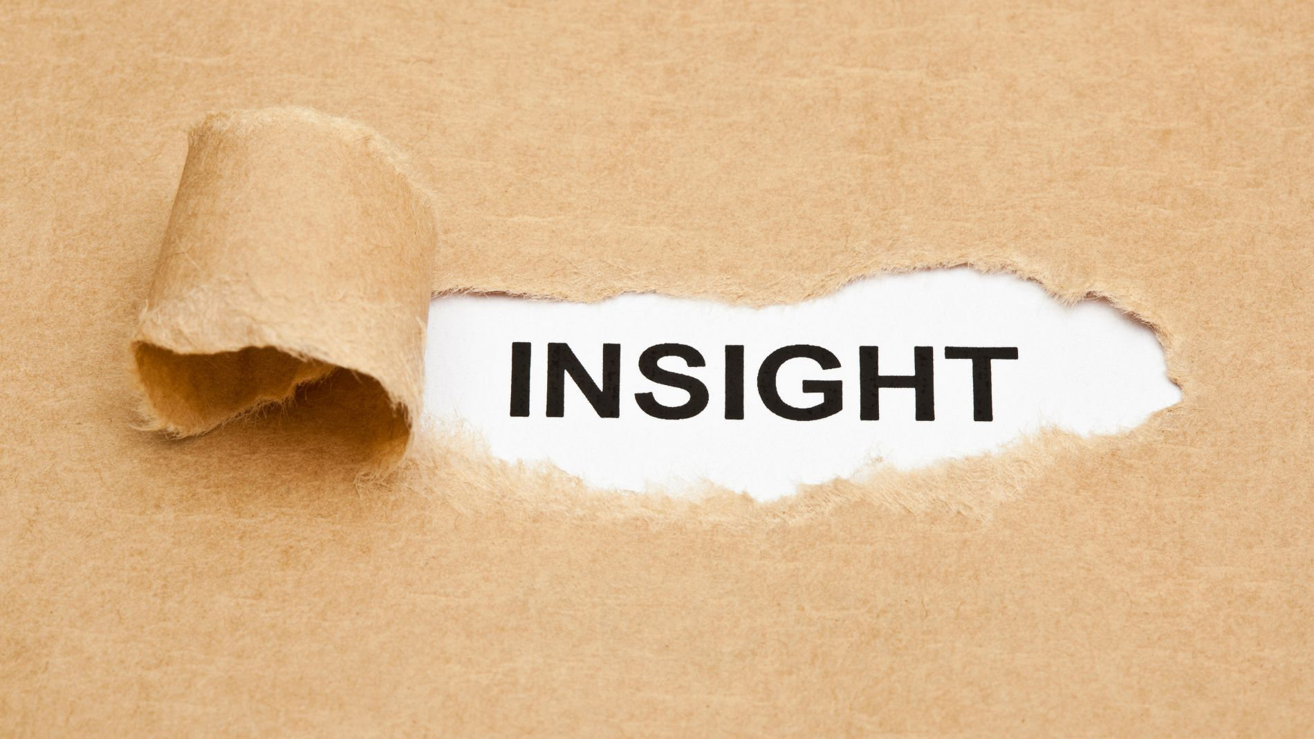 Schriftzug Insight