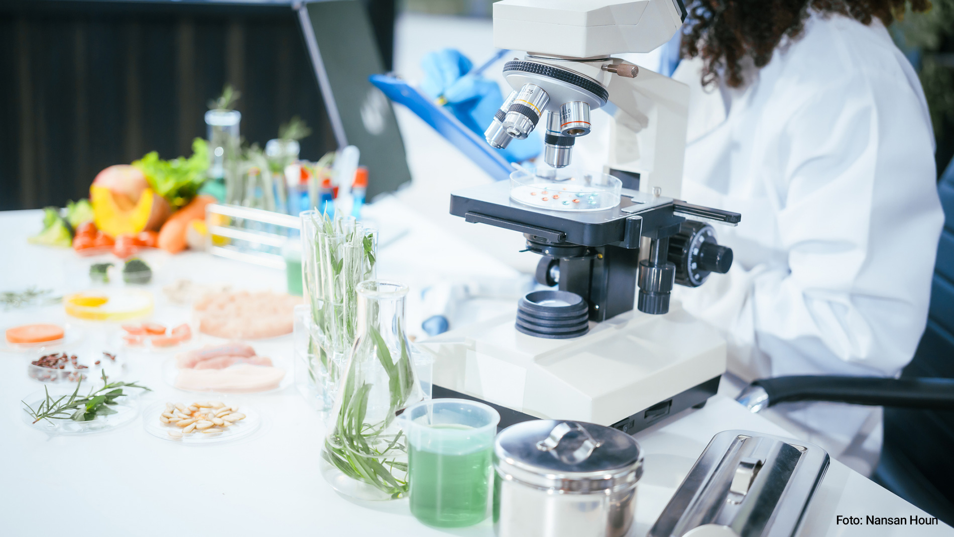 Employee in a laboratory examines food under a microscope