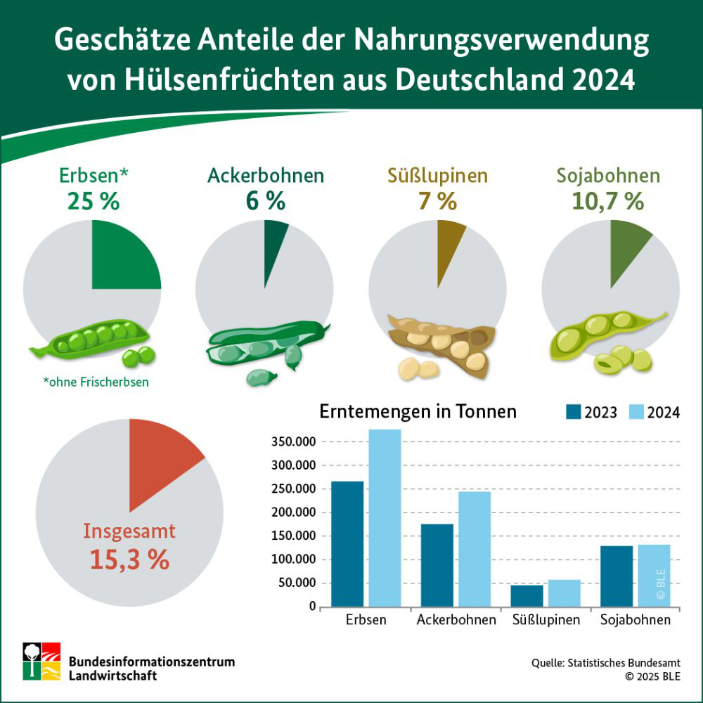 huelsenfruechte-teaser
