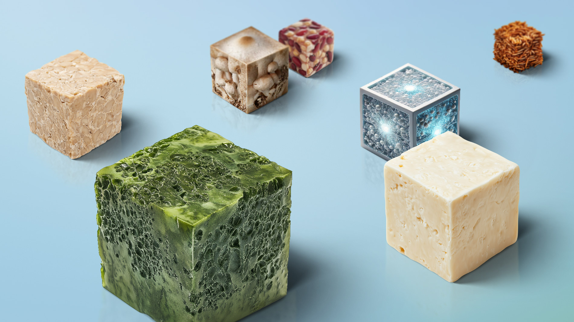 Alternative proteins in cube form