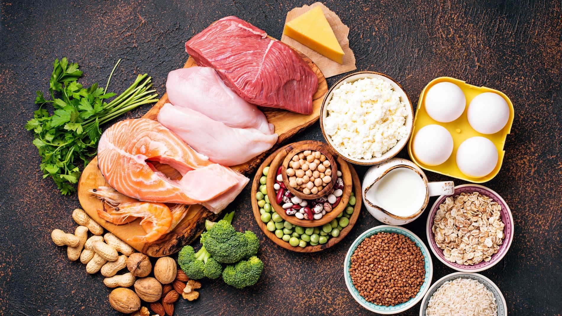 Proteins from animal and alternative sources